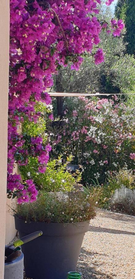 La Bastide Aux Oliviers Hotel Tourrettes-sur-Loup Eksteriør billede