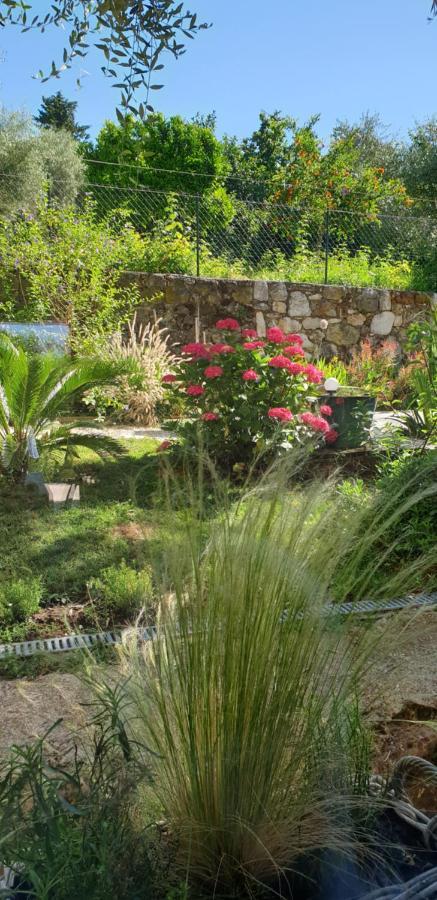 La Bastide Aux Oliviers Hotel Tourrettes-sur-Loup Eksteriør billede