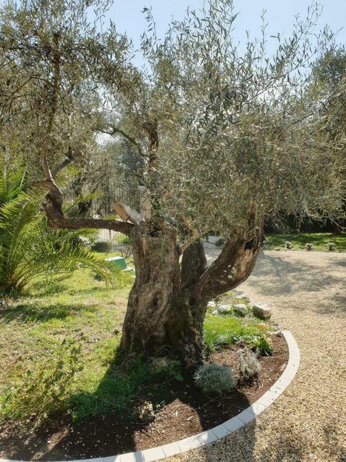 La Bastide Aux Oliviers Hotel Tourrettes-sur-Loup Eksteriør billede